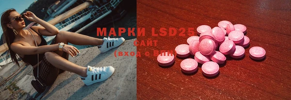 ECSTASY Алзамай
