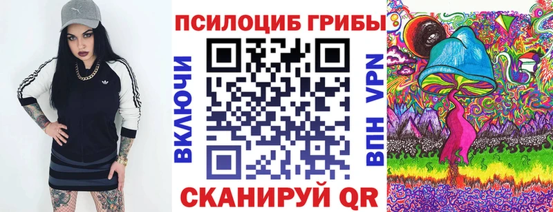 где найти наркотики  гидра ссылка  Псилоцибиновые грибы Psilocybe  Каменногорск 